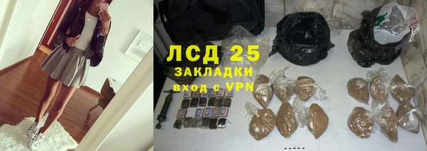 шишки Осташков