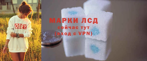 шишки Осташков
