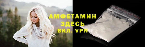 шишки Осташков
