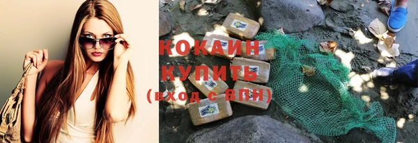 шишки Осташков