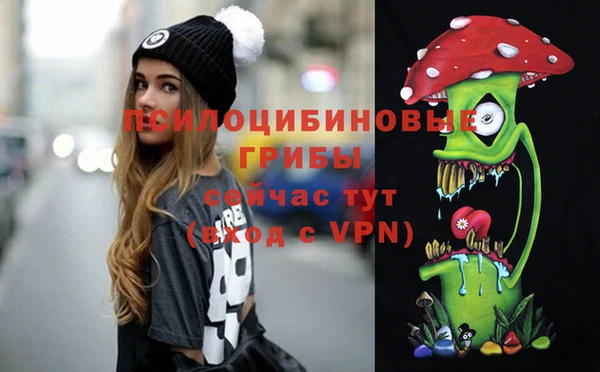 хмурый Абинск