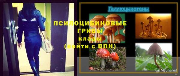 хмурый Абинск