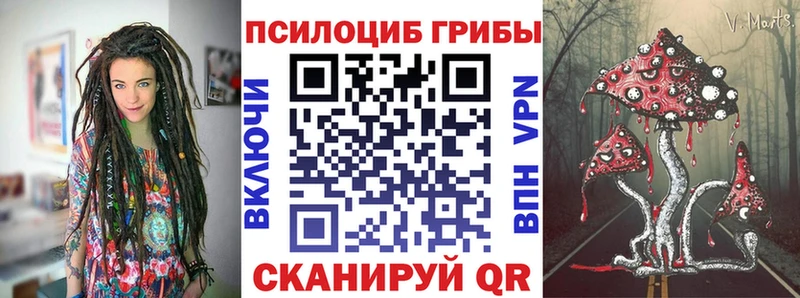 закладки  Мурино  Псилоцибиновые грибы Psilocybine cubensis 