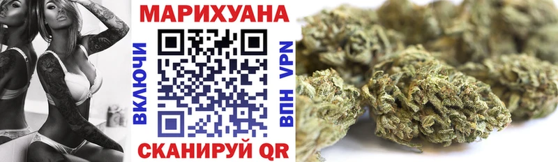 Бошки Шишки семена  купить наркотики цена  Мурино 
